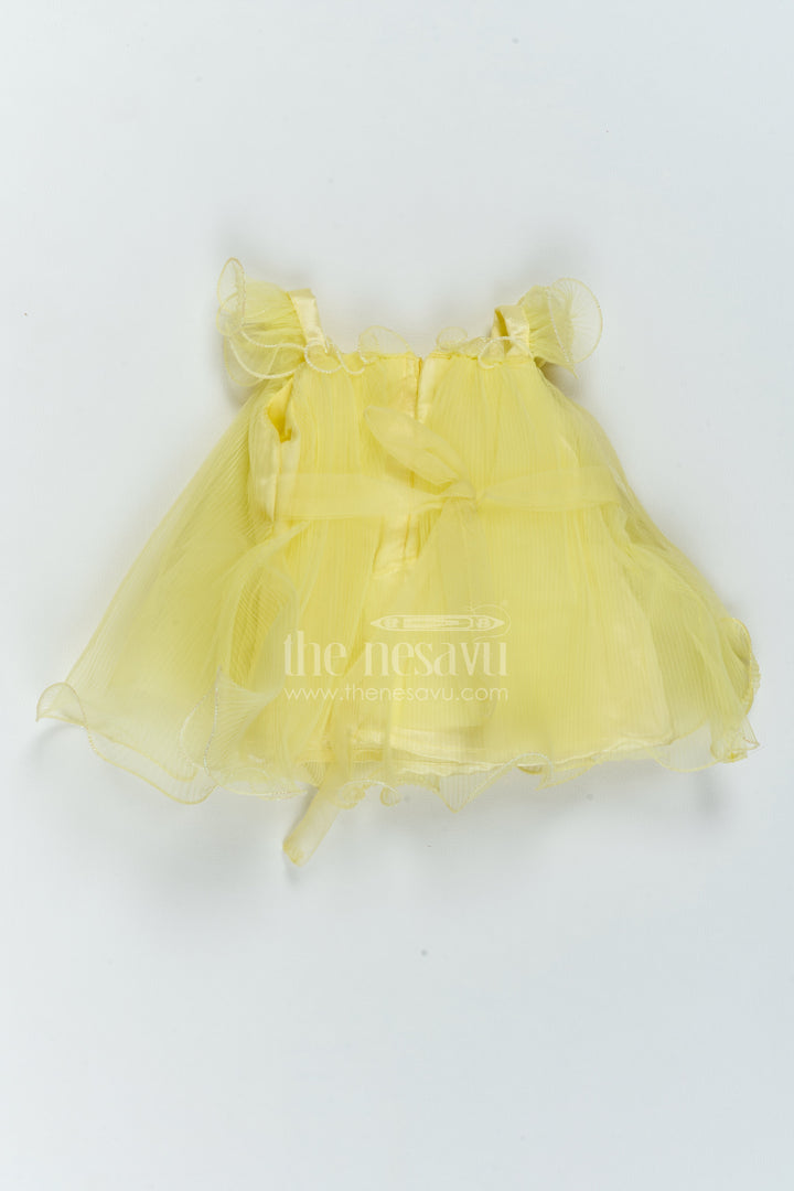 Baby Girl Fairy Frock for Milestone Birthdays and Celebration Portraits