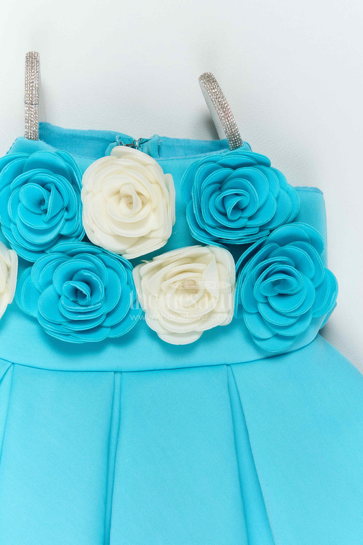 Girls Rose Waist Frock for Birthday Parties and Family Celebrations
