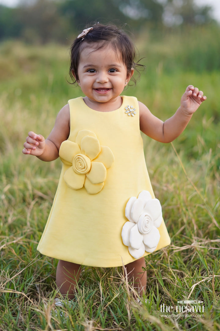 Baby Girl Flower Applique Dress for Birthday Outings and Family Parties