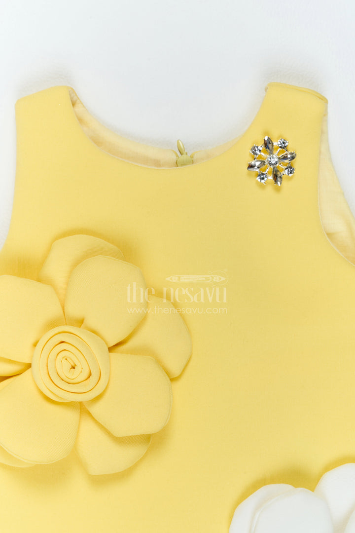 Baby Girl Flower Applique Dress for Birthday Outings and Family Parties