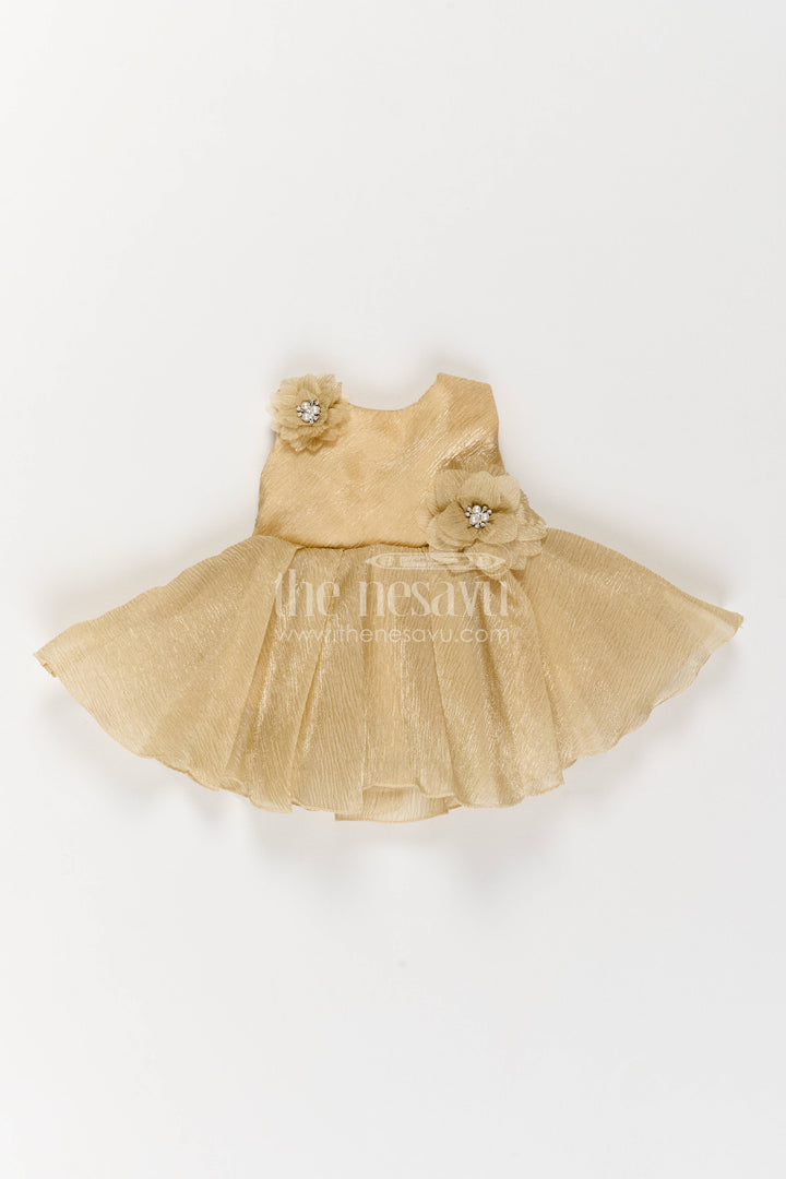 Girls Party Frock in Brown for Portrait Days