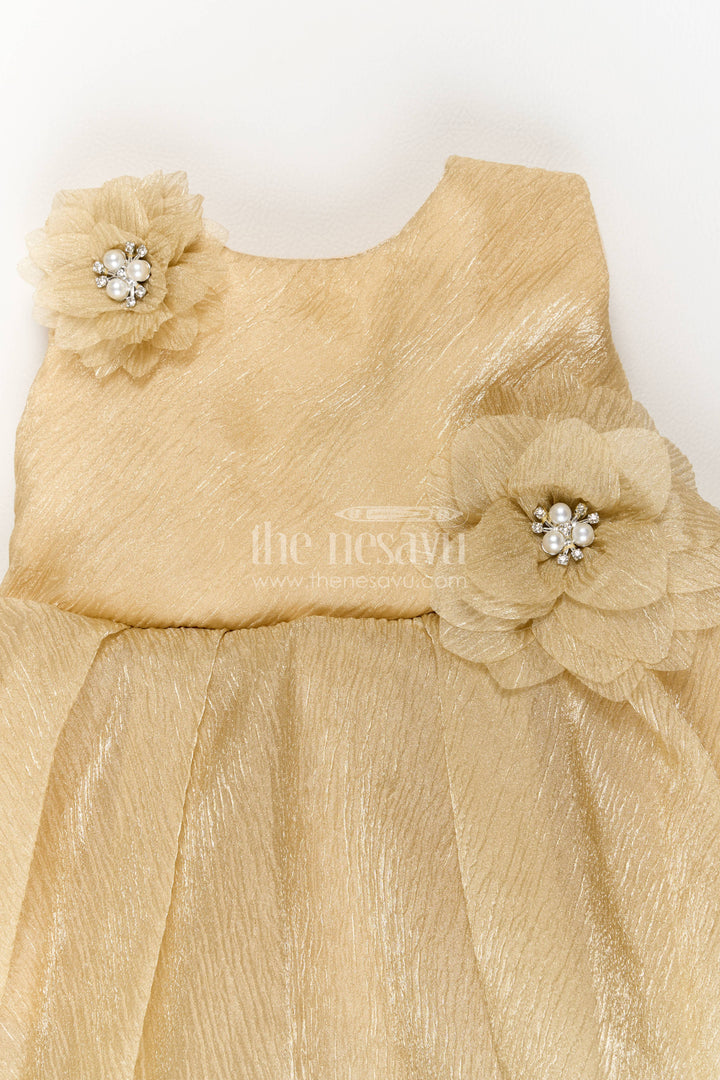 Girls Party Frock in Brown for Portrait Days