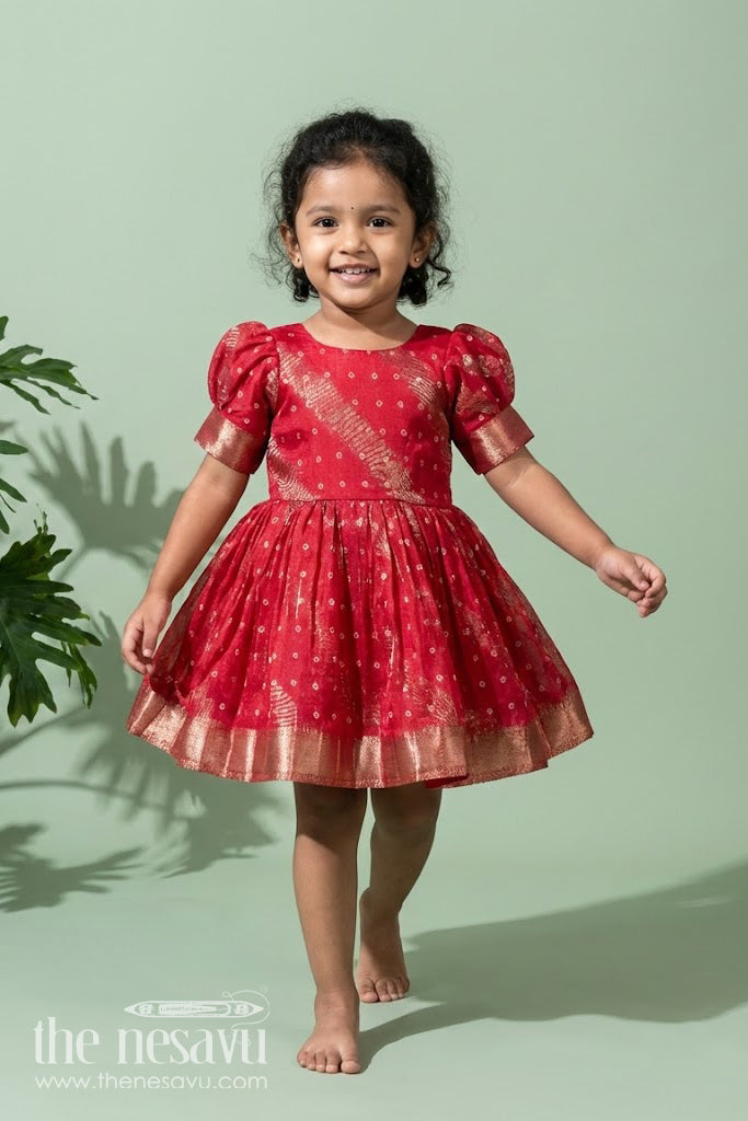 The Nesavu Girls Fancy Party Frock Baby Girl Party Frock with Jacquard Border for Festive Celebrations Nesavu 18 (2Y) / Red SF1056A-18 Nesavu baby girl georgette jacquard party frock zari border festive occasions