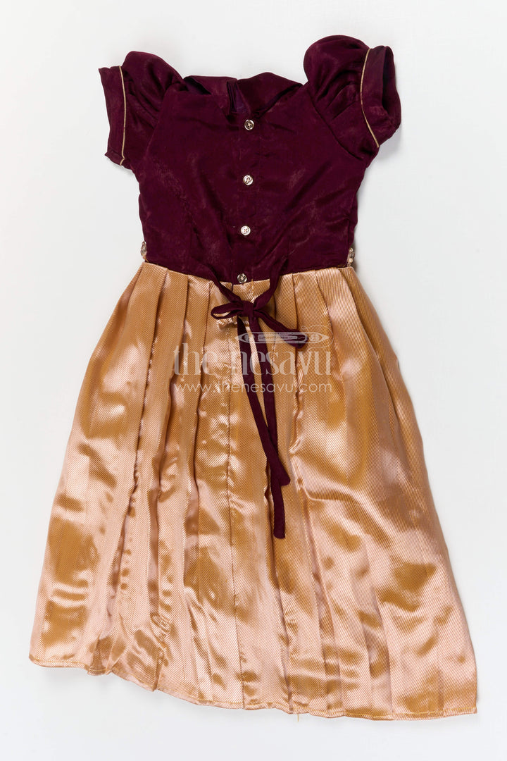 The Nesavu Girls Silk Gown Baby Girl Party Gown for Birthdays and Special Occasions Nesavu Nesavu baby girl party gown for birthdays and special occasions with velvet bodice and pleated tissue skirt