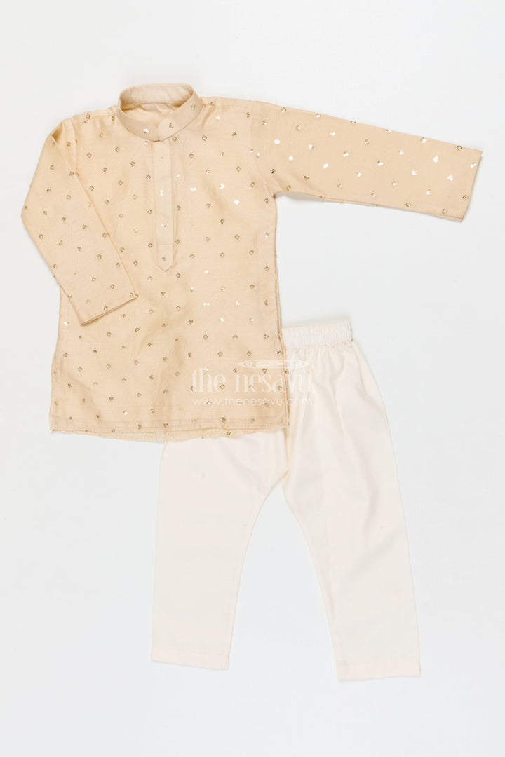 The Nesavu Boys Kurtha Set Boys Kurta Set for Weddings and Festive Occasions Nesavu 18 (2Y) / Gray / Viscose Silk BES761A-18 Nesavu boys kurta set with festive sequence embroidery in viscose silk for toddlers