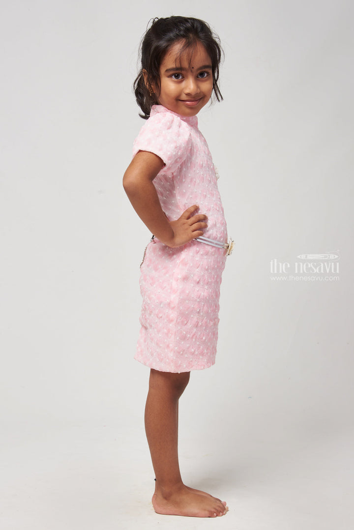 The Nesavu Baby Frock / Jhabla Charming Pink High Neck Baby Dress in Lucknow Chikan Nesavu Baby Fancy Frock Collection | Baby Dress Online | The Nesavu