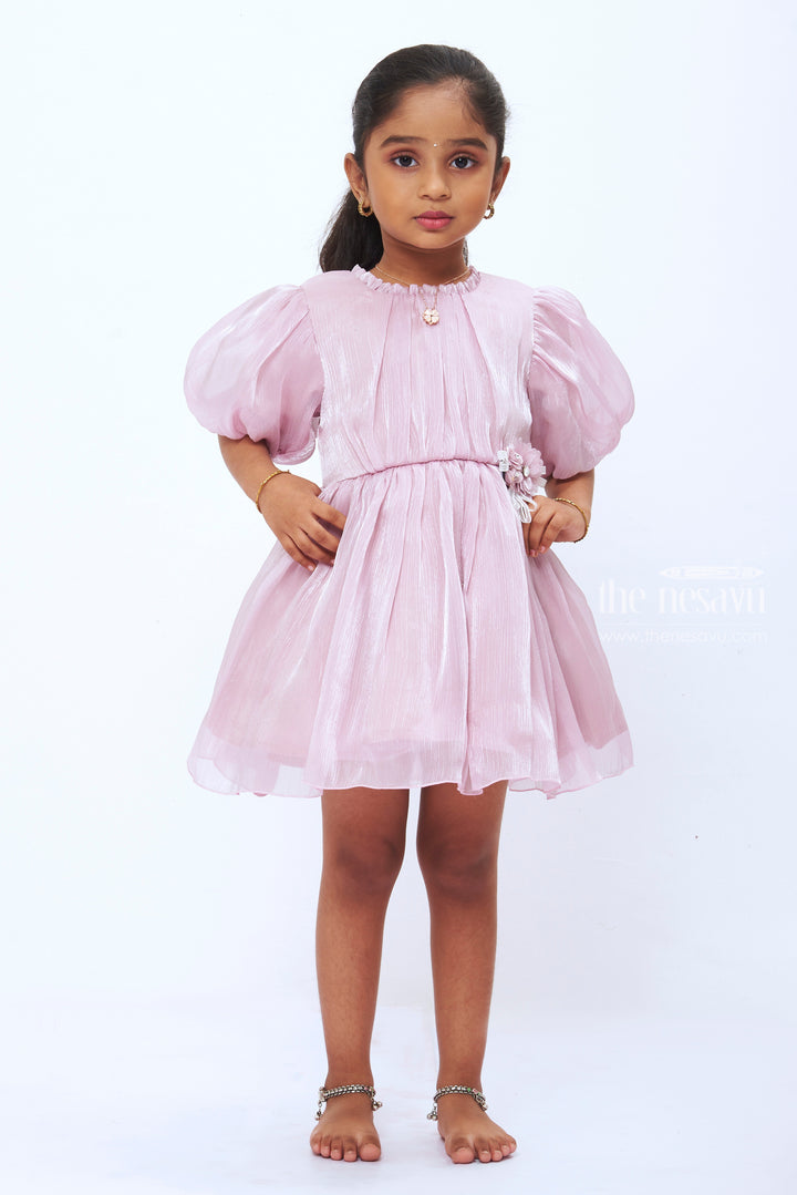 The Nesavu Girls Fancy Party Frock Enchanted Unicorn Party Frock for Baby Girls  First Birthday Boutique Outfit Nesavu 14 (6M) / Pink / Organza PF53H-14 Baby Girl Frock Party Wear | Unicorn Birthday Dress | Boutique Outfits | The Nesavu