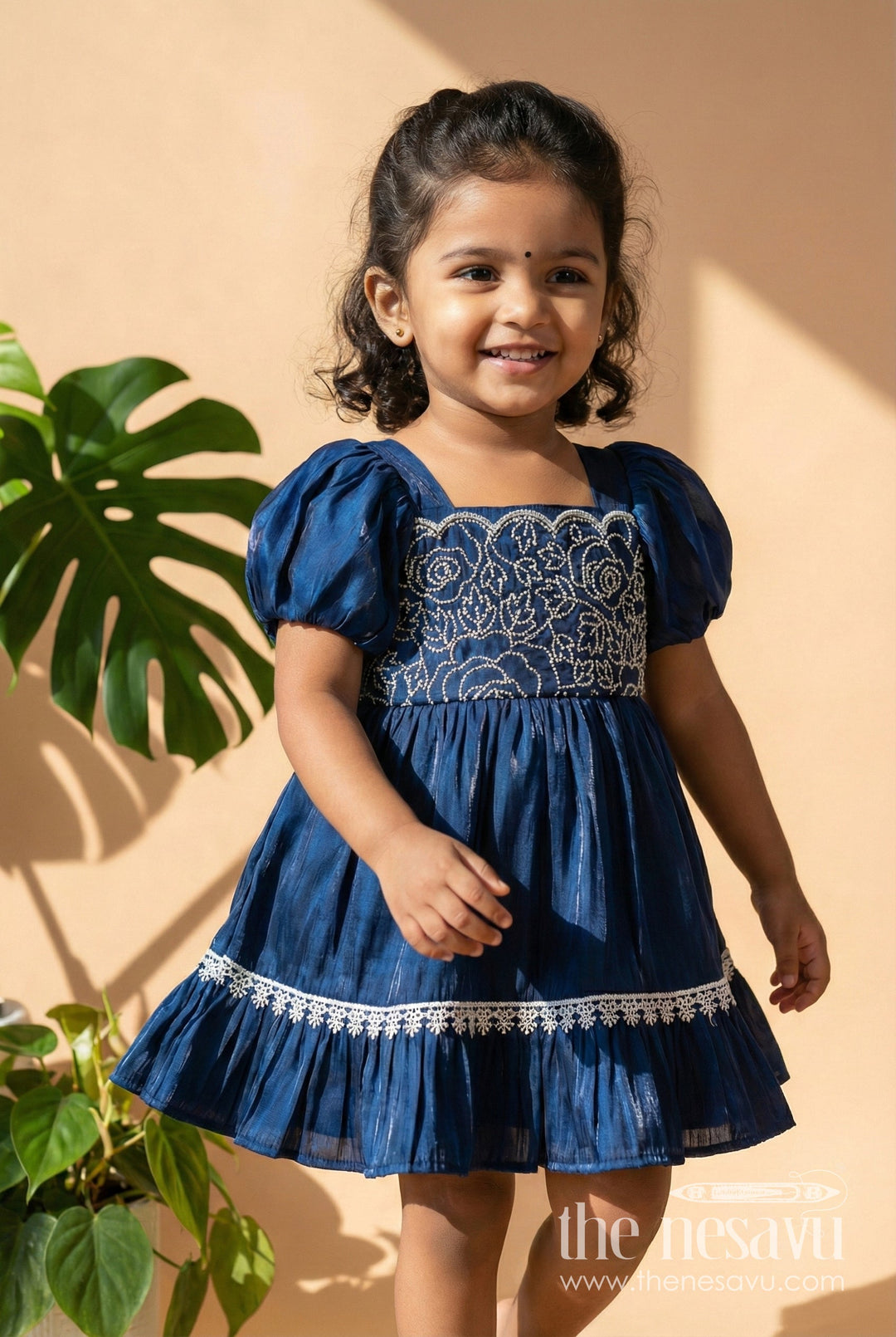 The Nesavu Girls Fancy Frock Fancy Frock for Baby Girls with Organza Embroidery for Festive Occasions Nesavu 14 (6M) / Blue GFC1905B-14 Nesavu fancy baby frock embroidery festive wear dress girls