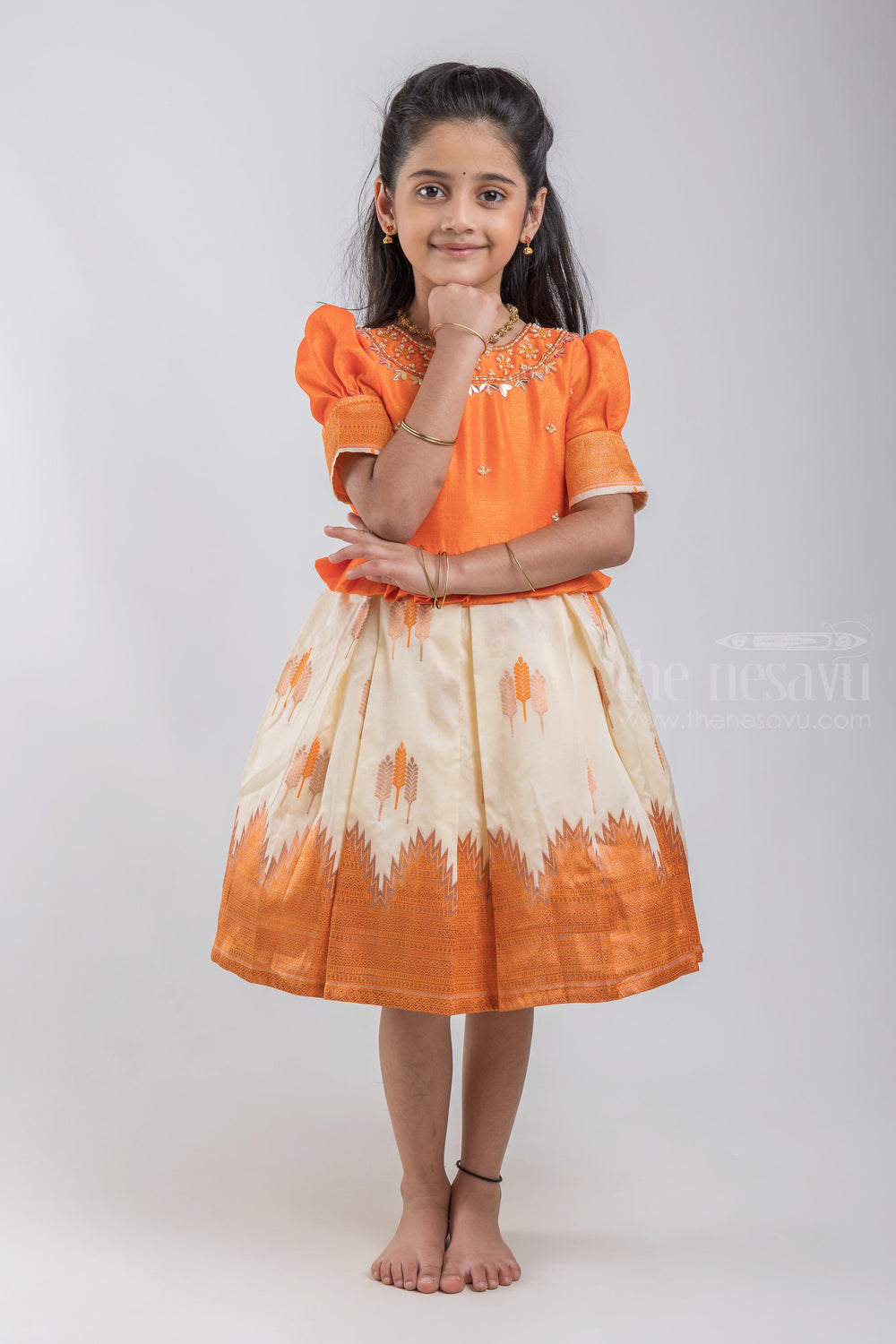 The Nesavu Silk Party Frock Floral Embroidered Box Pleated Banarasi Petite Diva Reshme Gown psr silks Nesavu
