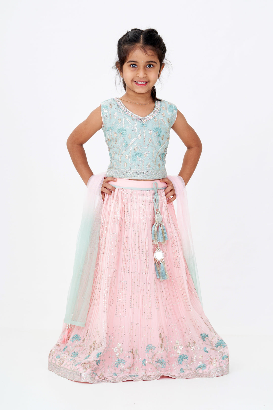 The Nesavu Girls Lehenga Choli Girls Beautiful Ghagra Choli with Embroidery and Sequin Detailing for Wedding Wear Nesavu Nesavu Girls Beautiful Ghagra Choli Designer Embroidery Sequins Wedding Wear