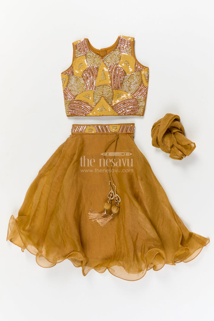 The Nesavu Girls Fancy Lehenga Girls Fancy Lehenga Set with Embroidered Yoke for Birthday and Festive Wear Nesavu Nesavu girls organza lehenga set with embroidered blouse for birthdays and festive occasions