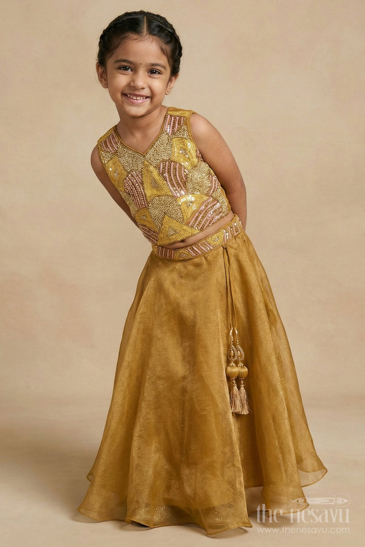 The Nesavu Girls Fancy Lehenga Girls Fancy Lehenga Set with Embroidered Yoke for Birthday and Festive Wear Nesavu Nesavu girls organza lehenga set with embroidered blouse for birthdays and festive occasions