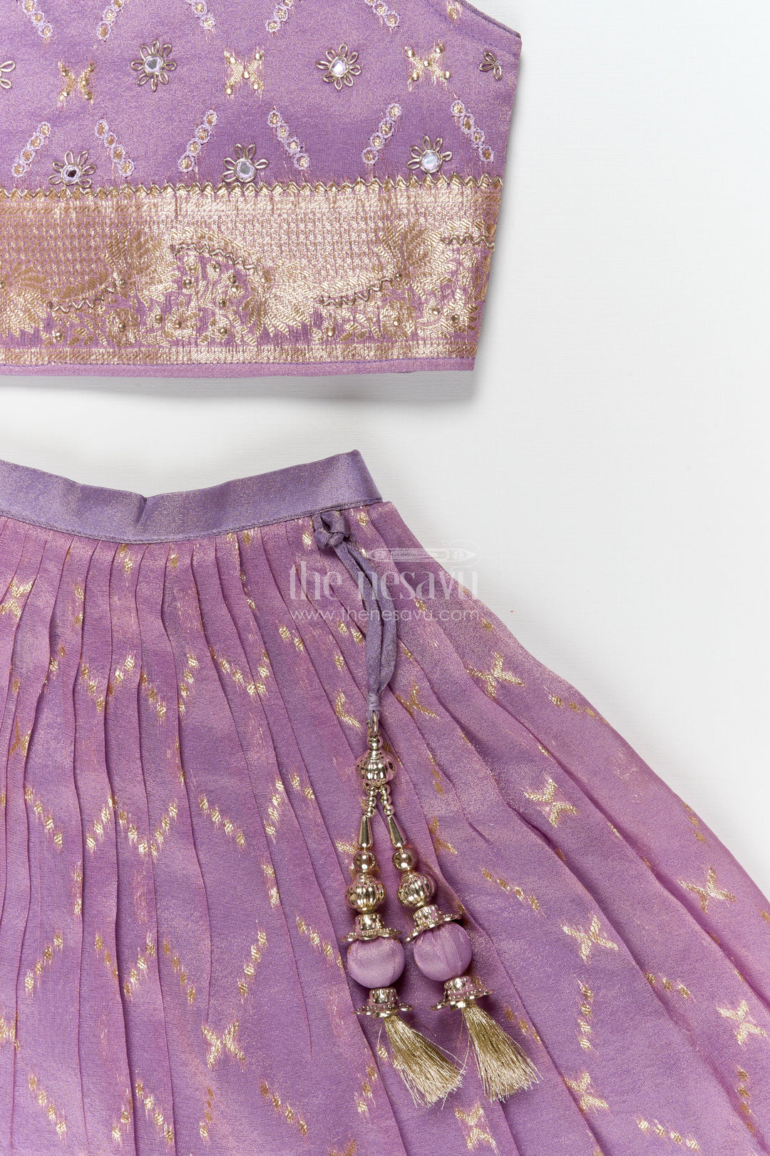 The Nesavu Girls Lehenga Choli Girls Lehenga Choli for Birthday Celebrations and Festive Gatherings Nesavu Nesavu girls lehenga choli for birthdays and festivals with zari border and tassel dupatta