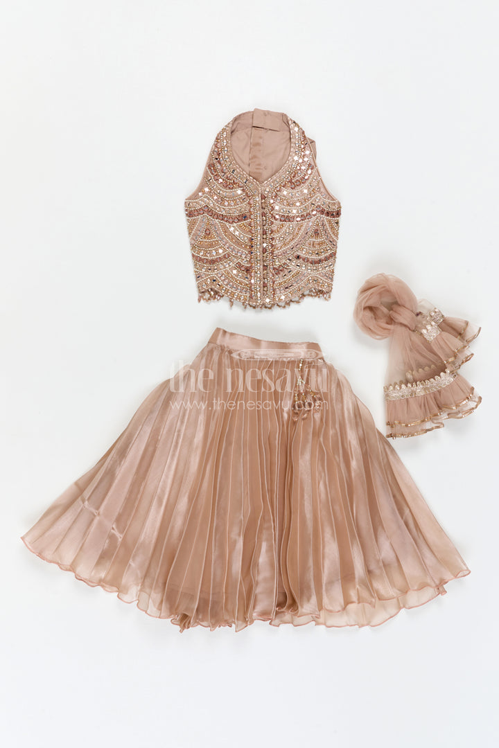 The Nesavu Girls Lehenga Choli Girls Lehenga Choli for Weddings and Temple Functions Nesavu Nesavu Girls Lehenga Choli Glaze Organza With Designer Embroidery Yoke For Weddings Festive Outfit