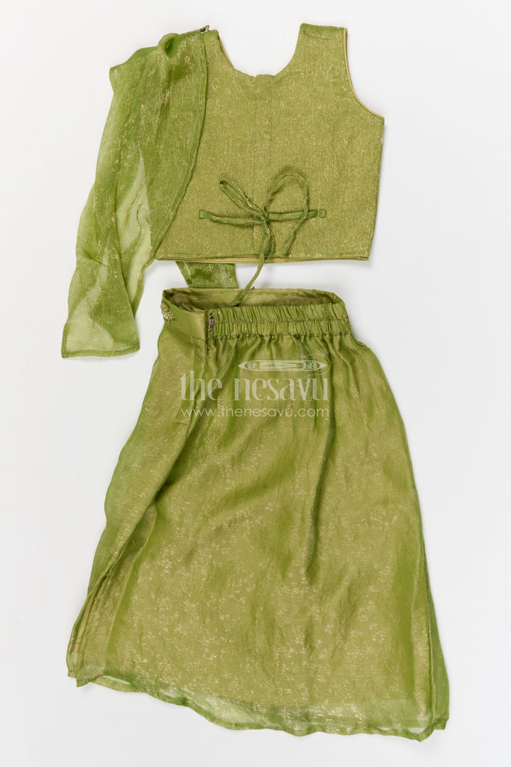 The Nesavu Girls Ethnic Lehenga Girls Lehenga Set for Festive Celebrations and Weddings Nesavu Nesavu girls tissue organza lehenga set for weddings festive celebrations and special occasions