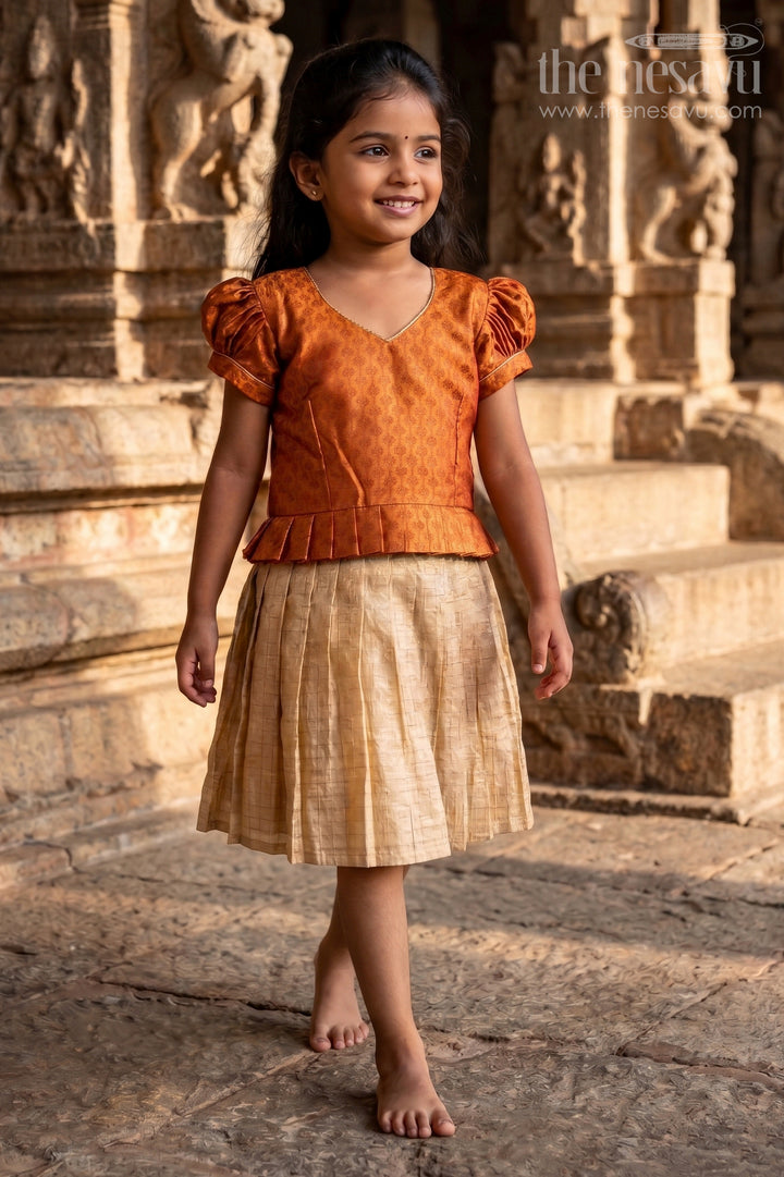 The Nesavu Silk Frock Semi Banarasi Silk Frock for Toddler Girls with Flared Tissue Bottom Nesavu 20 (3Y) / Brown SF1062A-20 Nesavu semi Banarasi silk frock toddler girls tissue flare festive occasions