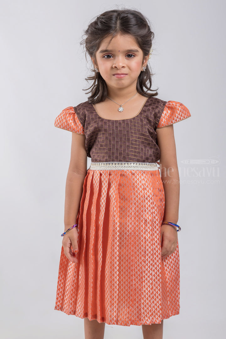 The Nesavu Silk Embroidered Frock Silver Zari Banarasi Silk Frock With Embroidered Waist Bank For Kids Girls psr silks Nesavu