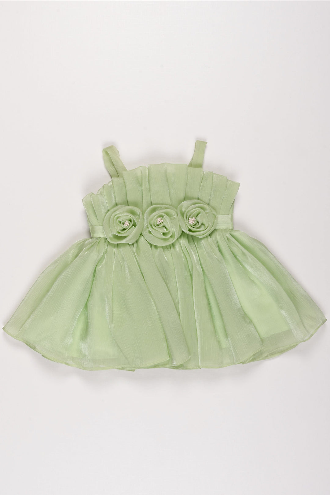 The Nesavu Girls Fancy Party Frock Spring Green Organza Party Frock with Floral Accents for Girls Nesavu 12 (3M) / Green / Organza PF173A-12 Girls Green Floral Organza Dress | Spring Party Frock with Handcrafted Roses | The Nesavu