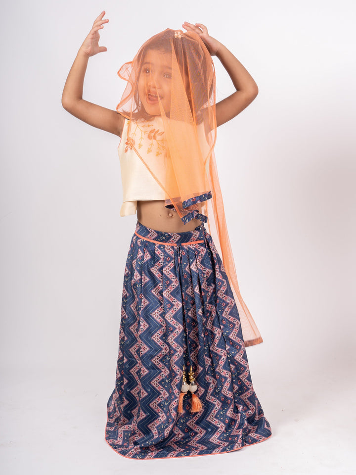 The Nesavu Lehenga & Ghagra Blue Zig Zag Party Wear Designer Choli Dresses For Girls psr silks Nesavu