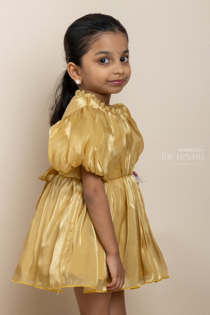 The Nesavu Party Frock Semi Crushed Rayon Party Wear Gown With Inner Cotton Lining For Girls psr silks Nesavu